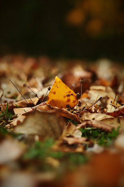 发展出灵活 发展出灵活