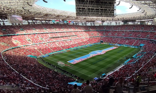 虑这些因素 虑这些因素