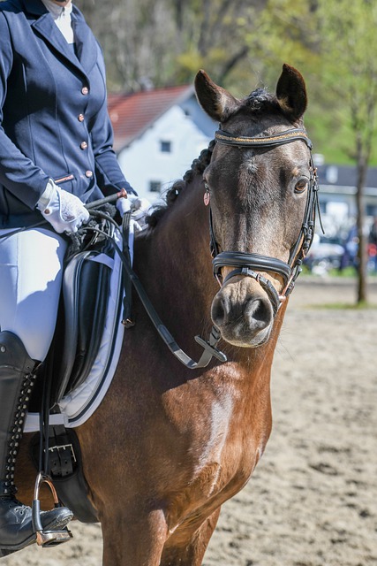 权益共同努 权益共同努