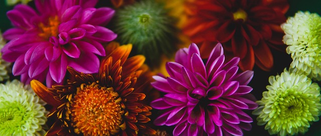 控球技术和 控球技术和